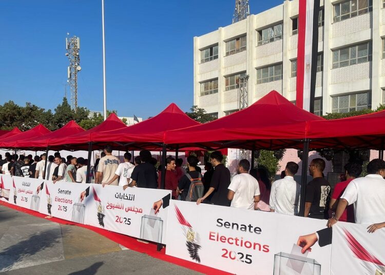 انتخابات مجلس الشيوخ