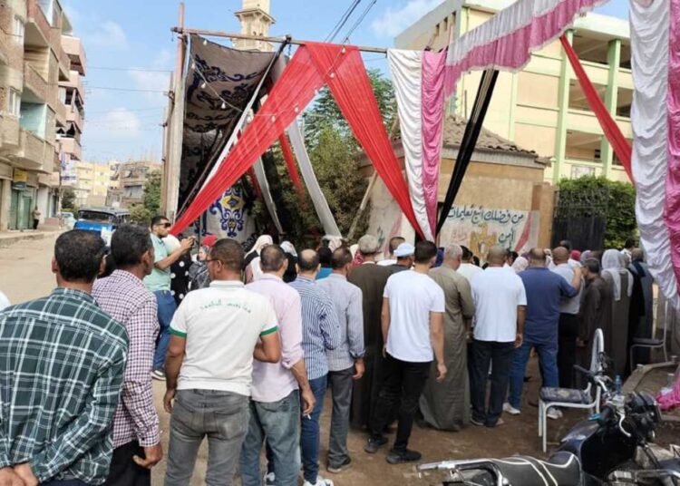 انتخابات مجلس الشيوخ