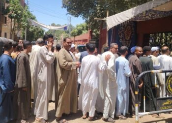 انتخابات مجلس الشيوخ