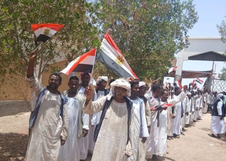 انتخابات مجلس الشيوخ