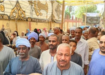 انتخابات مجلس الشيوخ