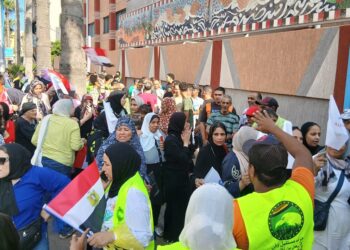 انتخابات مجلس الشيوخ