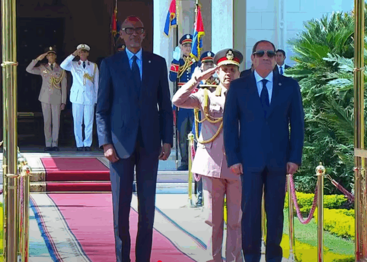السيسي