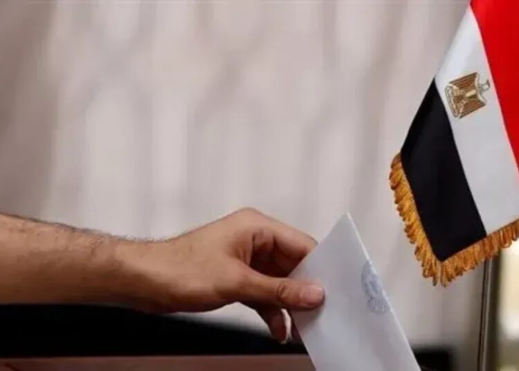 الائتلاف المصري