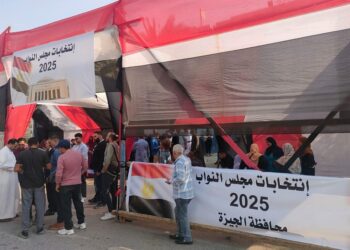 انتخابات مجلس النواب