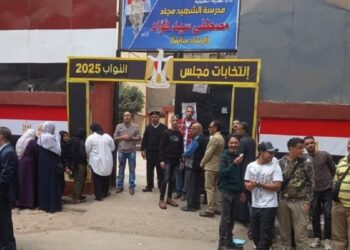 انتخابات مجلس النواب