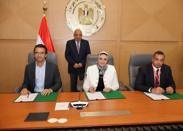 الشبكة الكهربائية