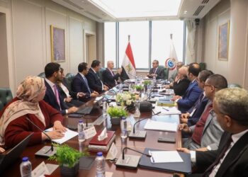 وزير الصحة يبحث فرص التعاون والاستثمار لتطوير قسم الأشعة بمشروع مدينة النيل الطبية