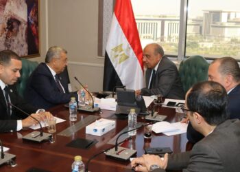 وزير الكهرباء