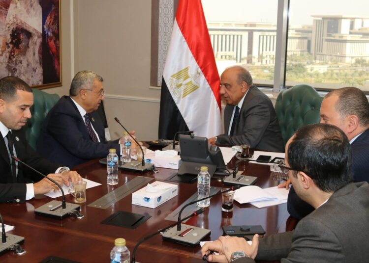 وزير الكهرباء
