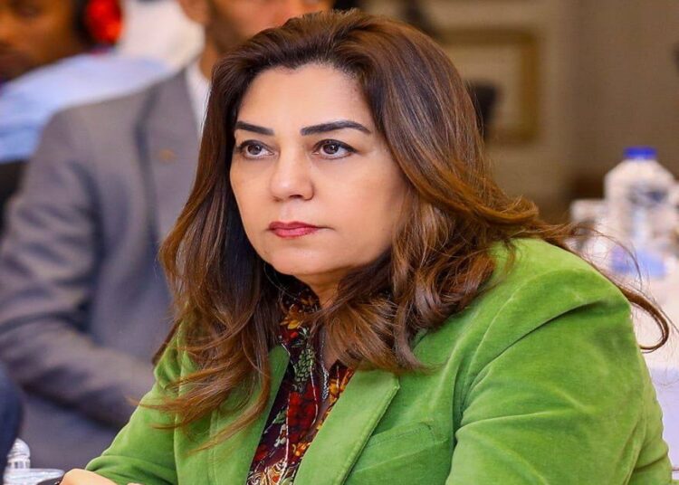 وزيرة التنمية المحلية