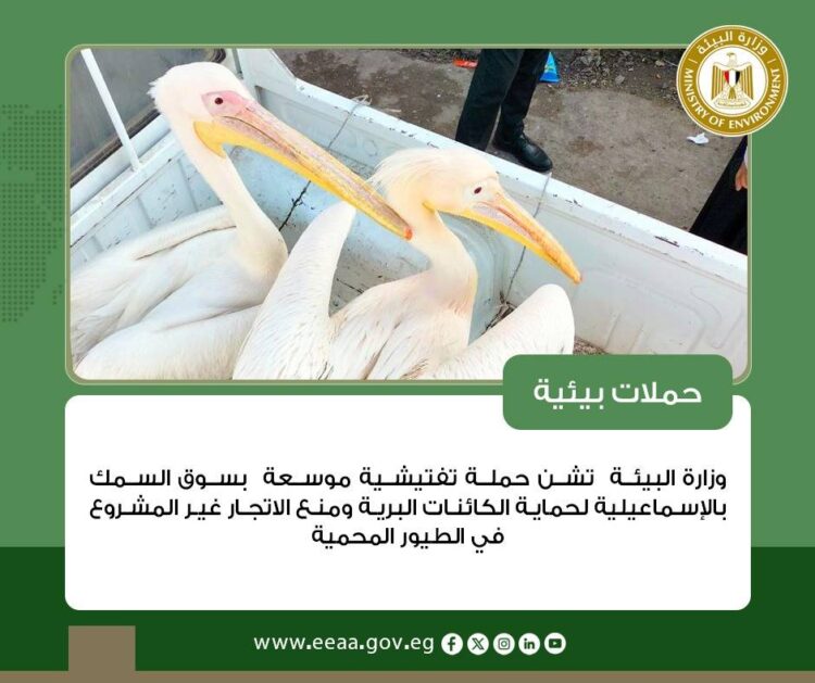 وزارة البيئة في أسبوع.. إنجازات تنموية وشراكات دولية لمواجهة التصحر وتطوير البنية المستدامة