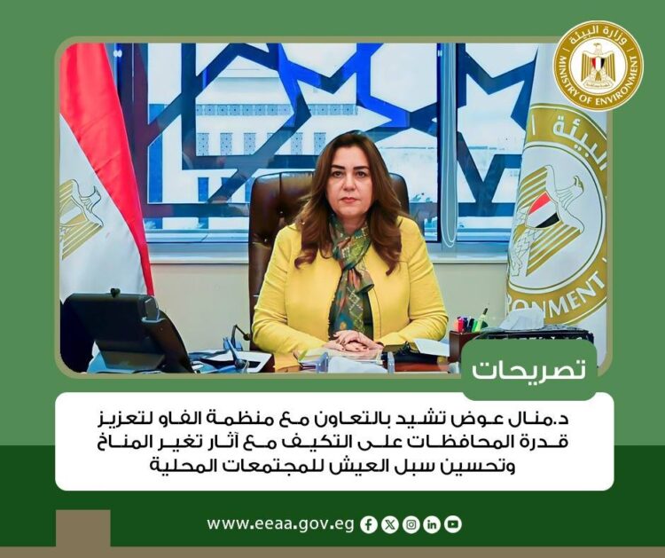 وزارة البيئة في أسبوع.. إنجازات تنموية وشراكات دولية لمواجهة التصحر وتطوير البنية المستدامة