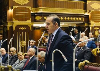 المستشار محمود فوزي