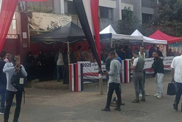 الائتلاف المصري