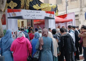 انتخابات مجلس النواب
