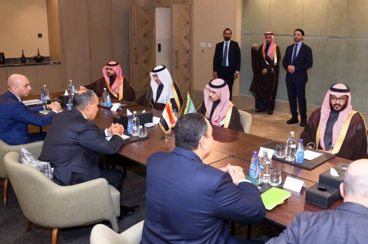 وزيرا الخارجية المصري والسعودي يعقدان جلسة مباحثات لتعزيز التعاون الثنائي بين البلدين
