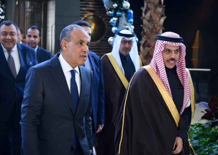 وزيرا الخارجية المصري والسعودي يعقدان جلسة مباحثات لتعزيز التعاون الثنائي بين البلدين