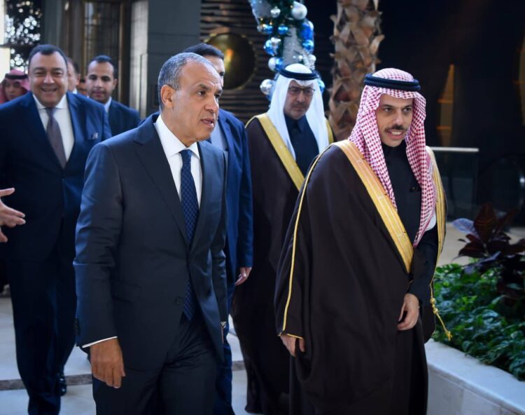 وزيرا الخارجية المصري والسعودي يعقدان جلسة مباحثات لتعزيز التعاون الثنائي بين البلدين