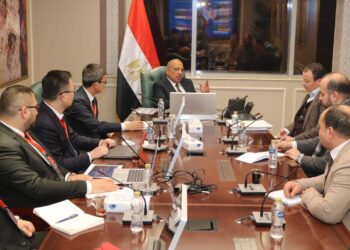 وزير الكهرباء