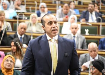 المستشار محمود فوزي