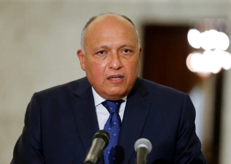 سامح شكري