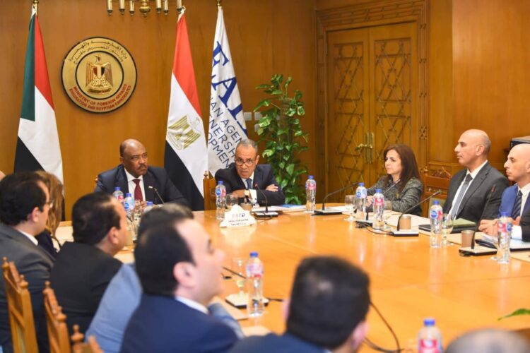 تكريم القافلة الطبية المصرية لدورها في دعم القطاع الصحي بالسودان
