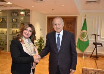 أحمد أبو الغيط