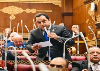 مرونة سعر الصرف