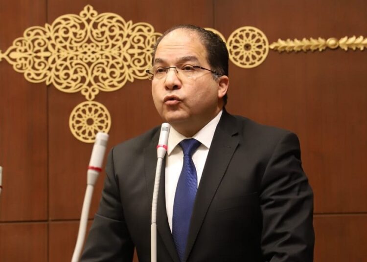 المشروعات الصغيرة