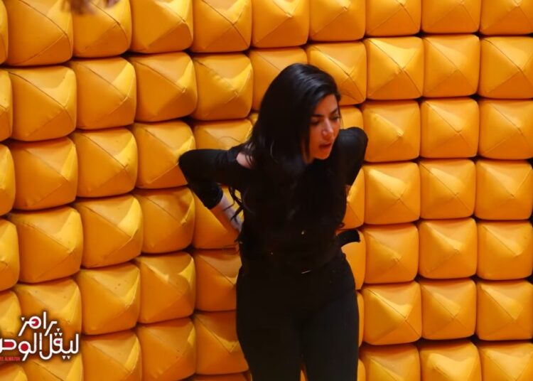 رامز ليفل الوحش