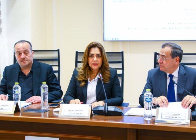 وزيرة التنمية