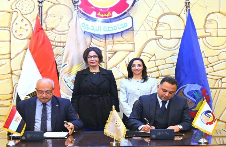 دمنهور