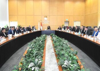 العاصمة الإدارية
