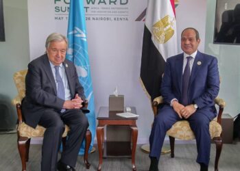 السيسي