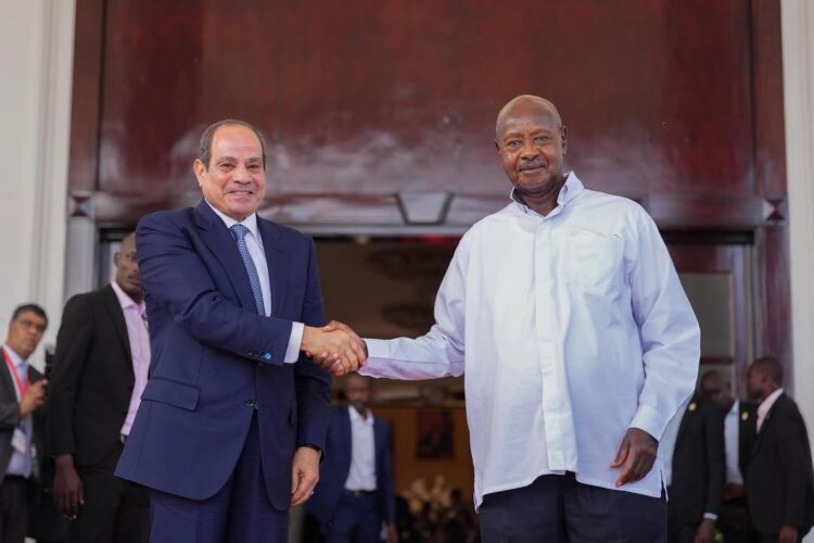 السيسي