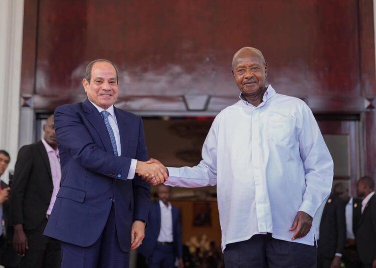 السيسي