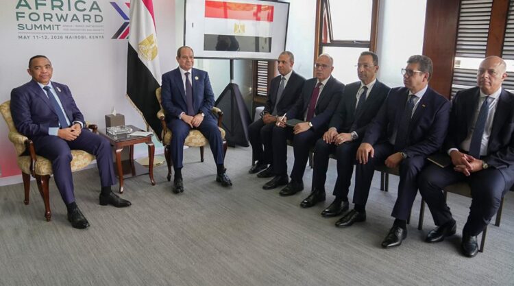 السيسي
