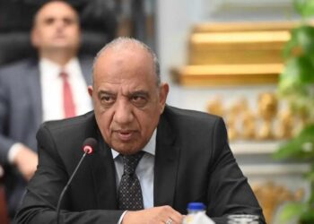 وزير الكهرباء