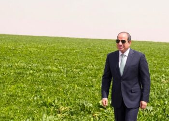 الدلتا الجديدة