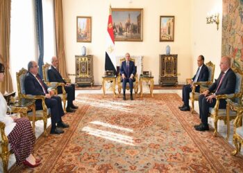 السيسي