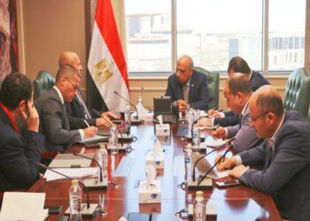 توطين التكنولوجيا