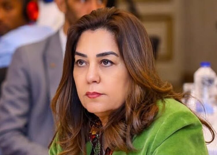 التنمية المحلية