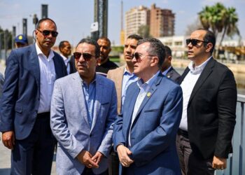 المنوفية