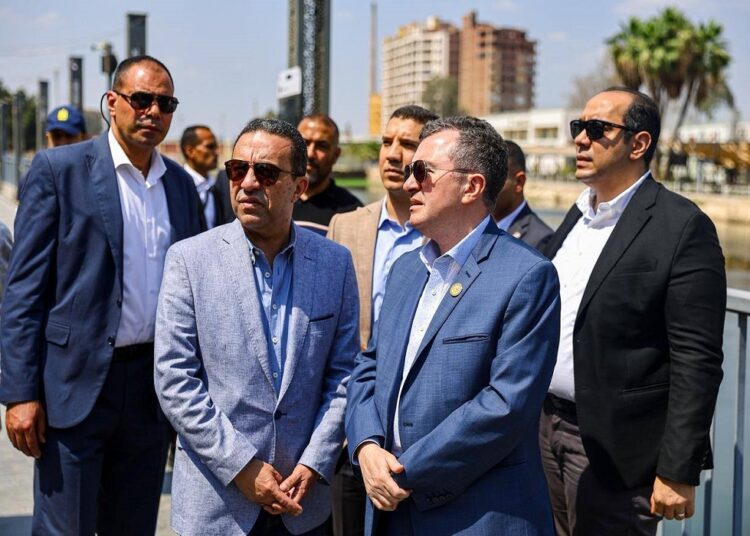 المنوفية