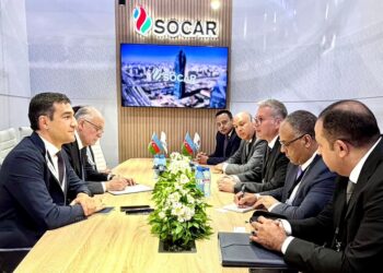 وزير البترول