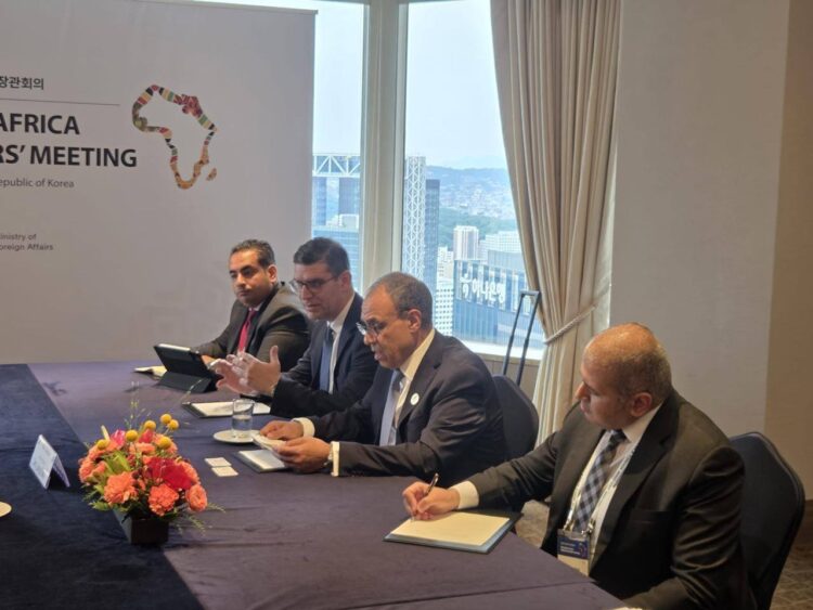 وزير الخارجية يلتقي المدير التنفيذي لصندوق التعاون للتنمية الاقتصادية بالبنك الكوري للتصدير والاستيراد