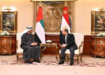 السيسي ومحمد بن زايد