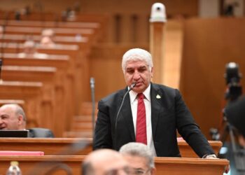 وكيل الشؤون الأفريقية: التحول إلى الدعم النقدي ضرورة لتحسين الكفاءة وضمان العدالة