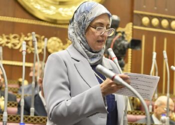 التنمية الشاملة